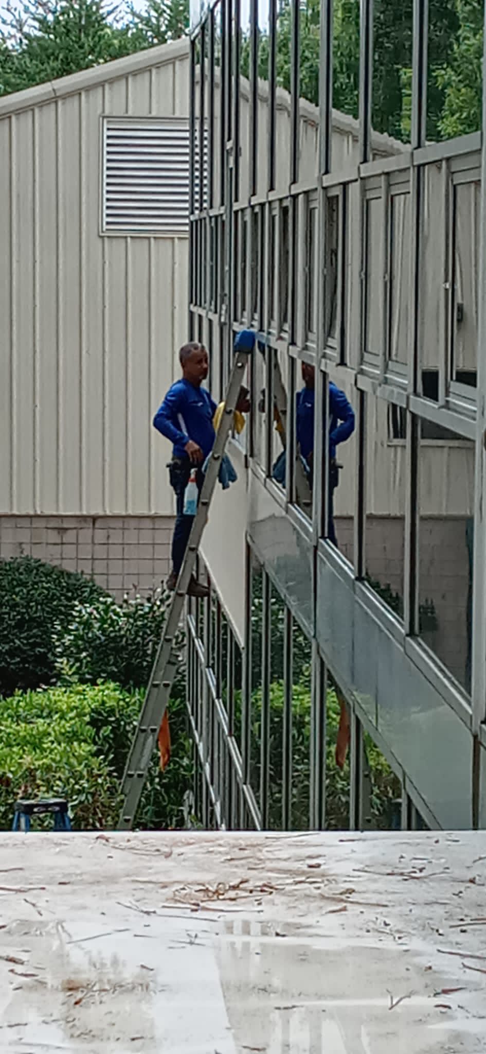 Window Cleaning